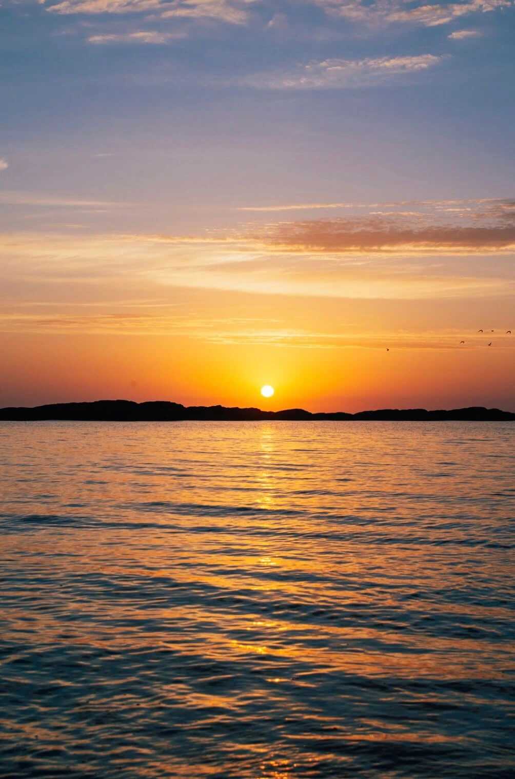 PTSD Treatment in Melbourne